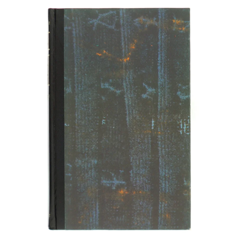 Hør vinden i de tomme huse af Else Fischer (Bog)