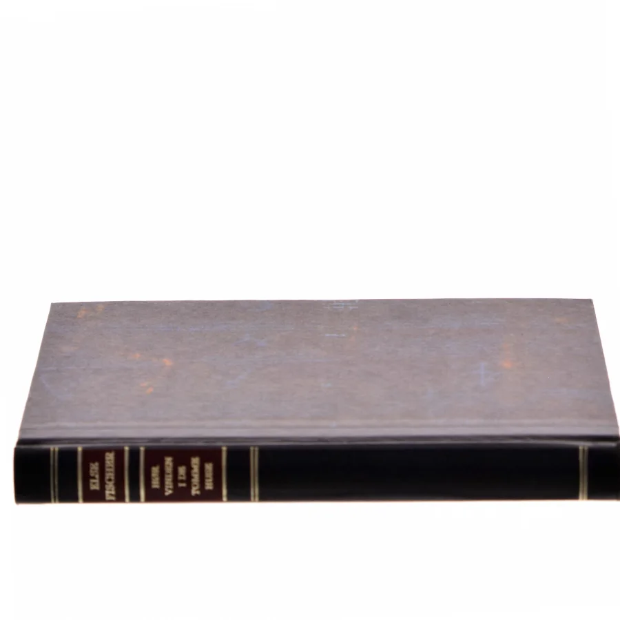 Hør vinden i de tomme huse af Else Fischer (Bog)