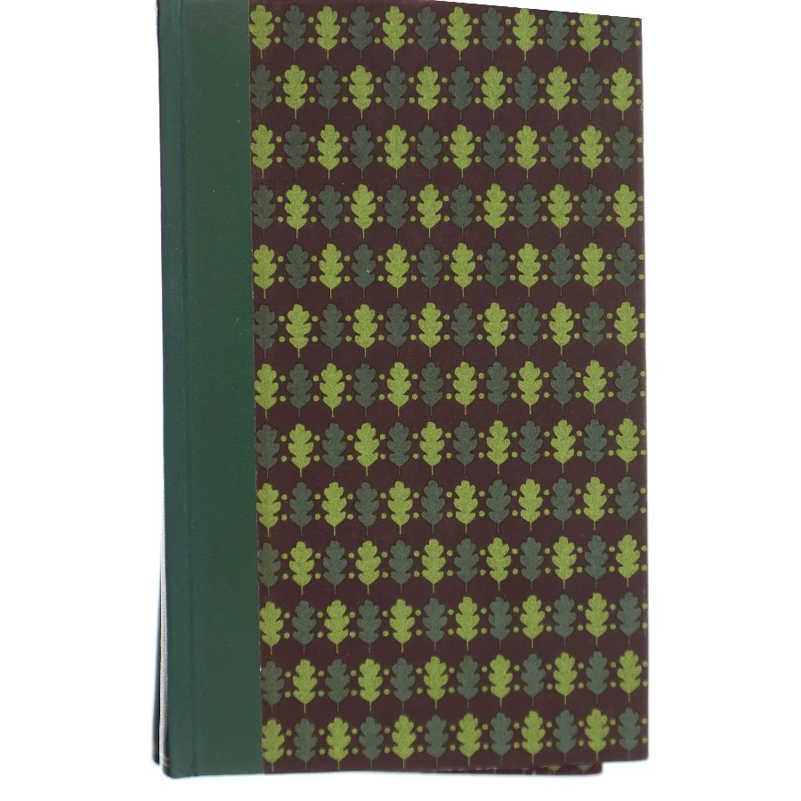 Danmarks Historie af Gunnar Olsen (Bog)