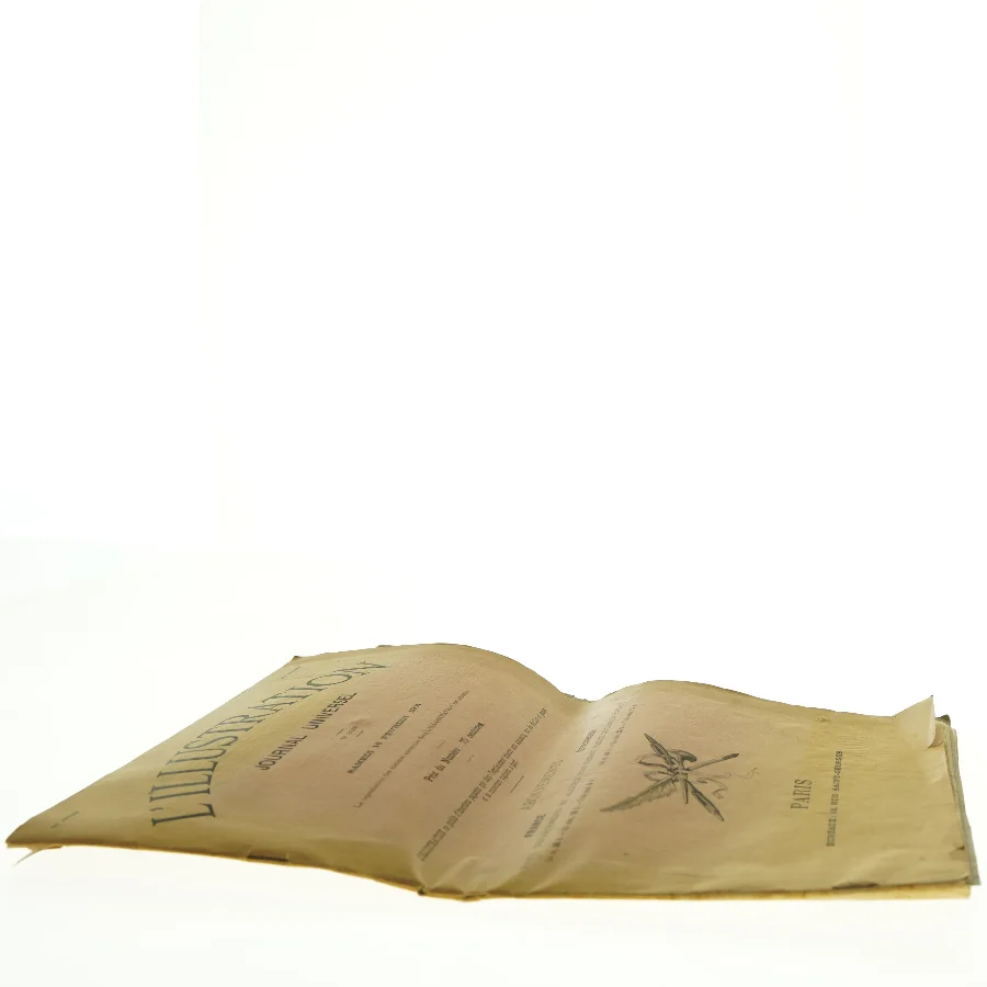 Gammel avis 'L'Illustration' fra 1901 (str. 41 x. 32 cm)