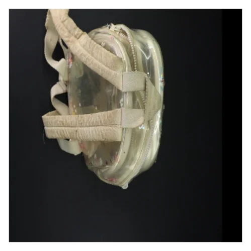 Gennemsigtig rygsæk med glitter og mønster fra Zara (str. 29 x 23 cm)