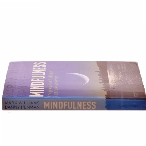 MICA - investigating mindfulness among danish women operated for breast cancer : possible somatic gain from psychological intervention : PhD thesis af Hanne Würtzen (Bog)