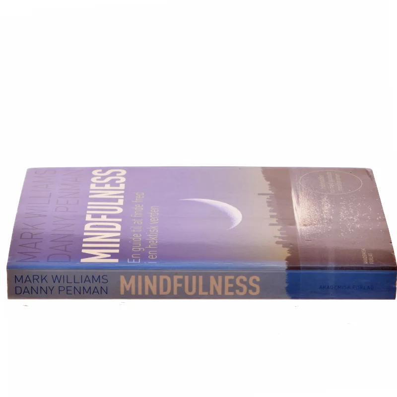 MICA - investigating mindfulness among danish women operated for breast cancer : possible somatic gain from psychological intervention : PhD thesis af Hanne Würtzen (Bog)