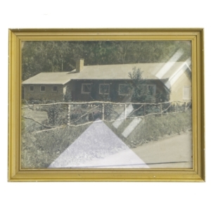 Vintage billede med guldramme (str. 27,5x21,5 cm)