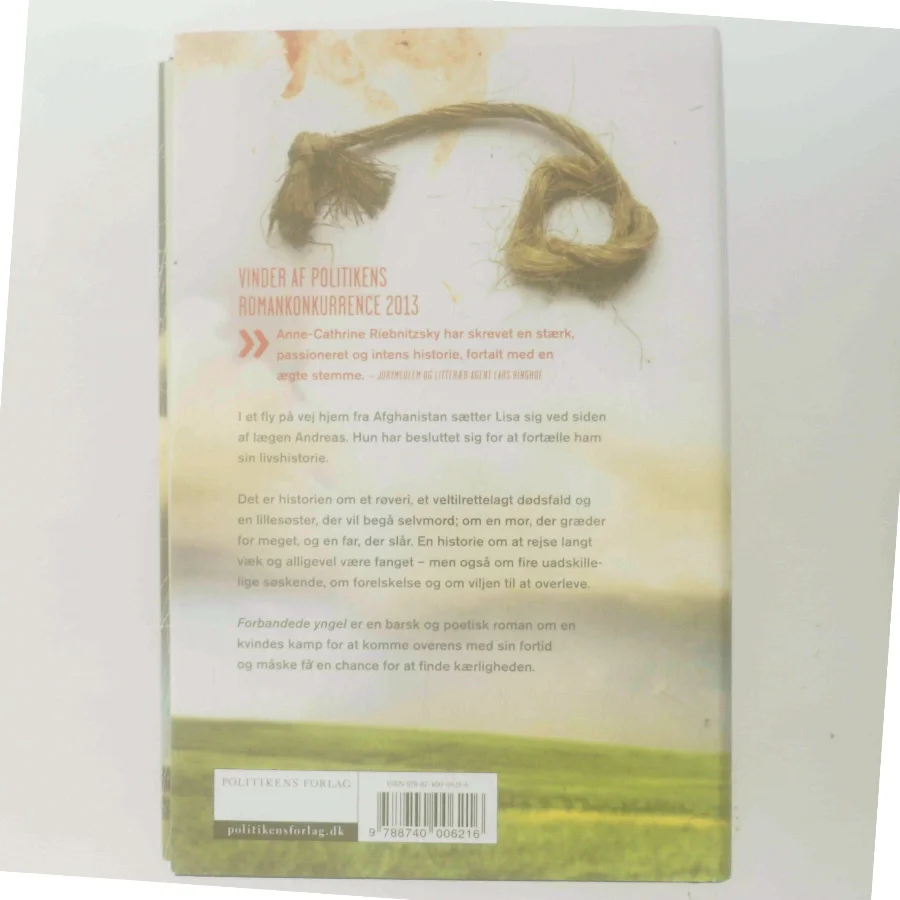 Forbandede yngel (Klassesæt) af Anne-Cathrine Riebnitzsky (Bog)