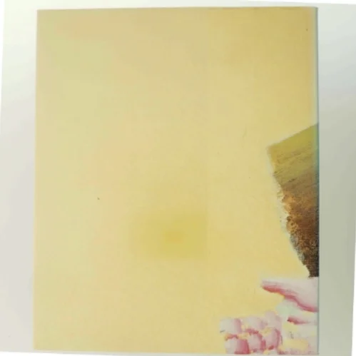 Dansk kunst 86 kunstbog