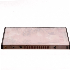 Premonition med Sandra Bullock (DVD)