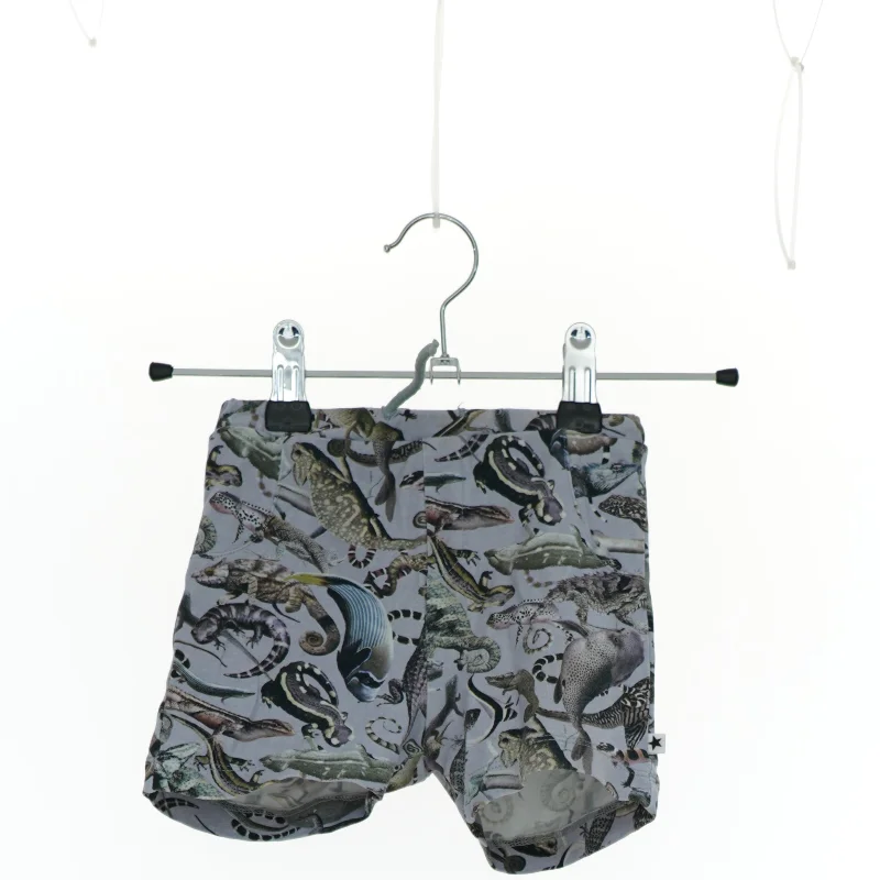 Shorts fra Molo (str. 80 cm)