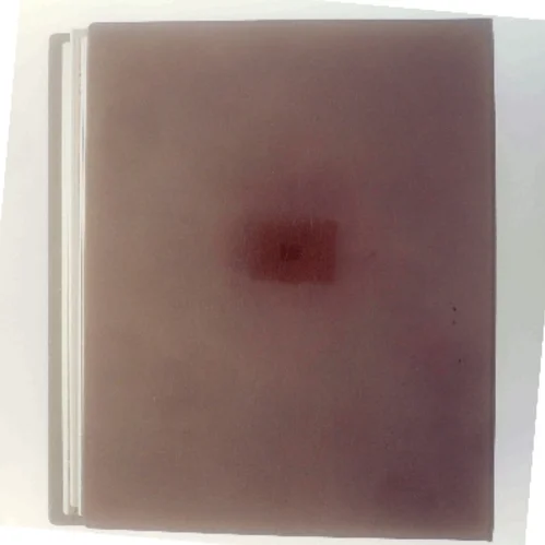 Illusteret Tidende (Bog)