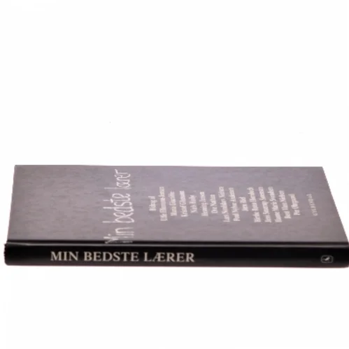 Min bedste lærer : fjorten essays (Bog)