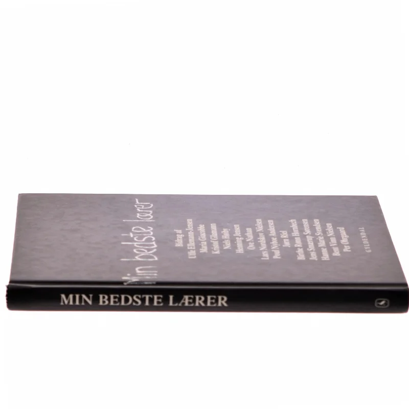 Min bedste lærer : fjorten essays (Bog)