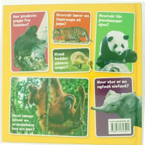 Min lille bog om dyreunger af Camilla de la Bédoyère (Bog)