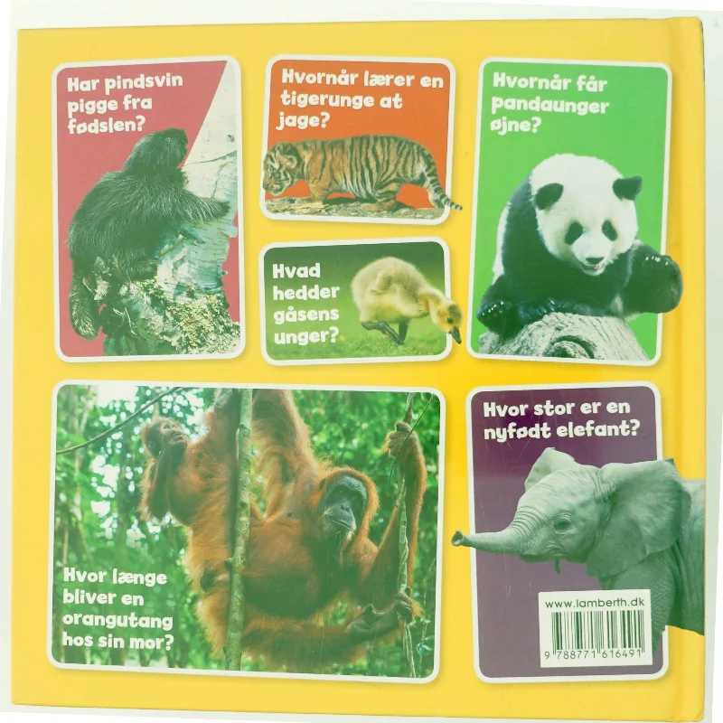 Min lille bog om dyreunger af Camilla de la Bédoyère (Bog)