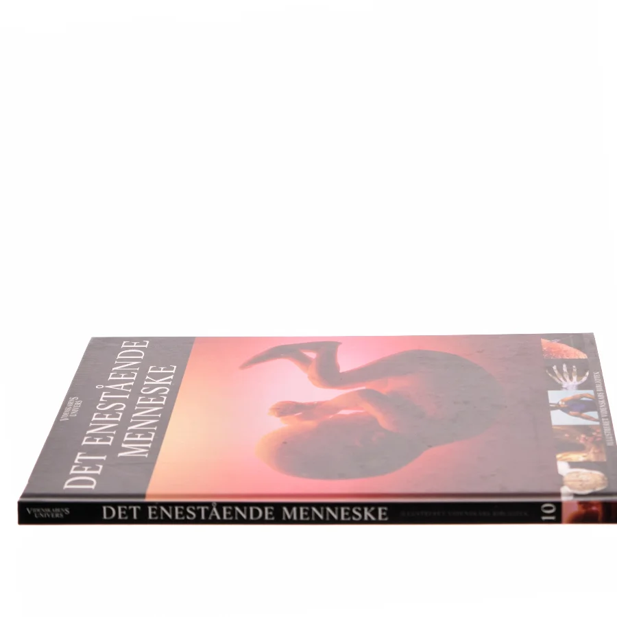 Det enestående menneske af Anders Enevold (f. 1976) (Bog)