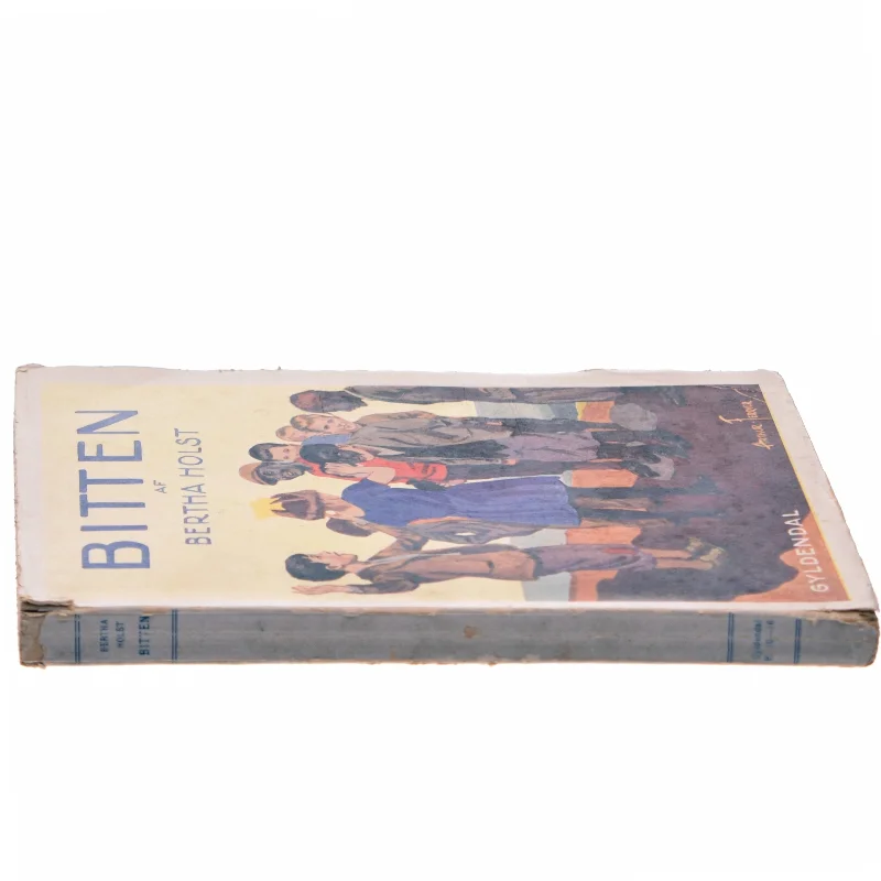 Bitten af Bertha Holst (Bog)