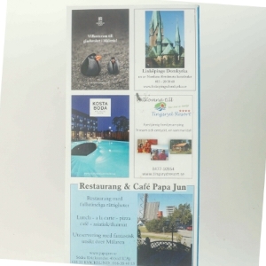 Svensk Vägguide (Bog)