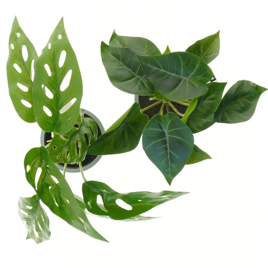 Dekorative planter i grå potter fra Monstrea (str. 25 cm)