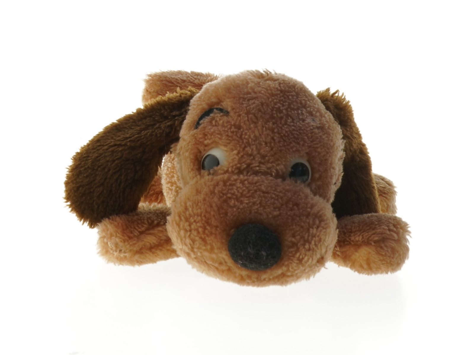 Plyss bamse hund (str. 27 cm)