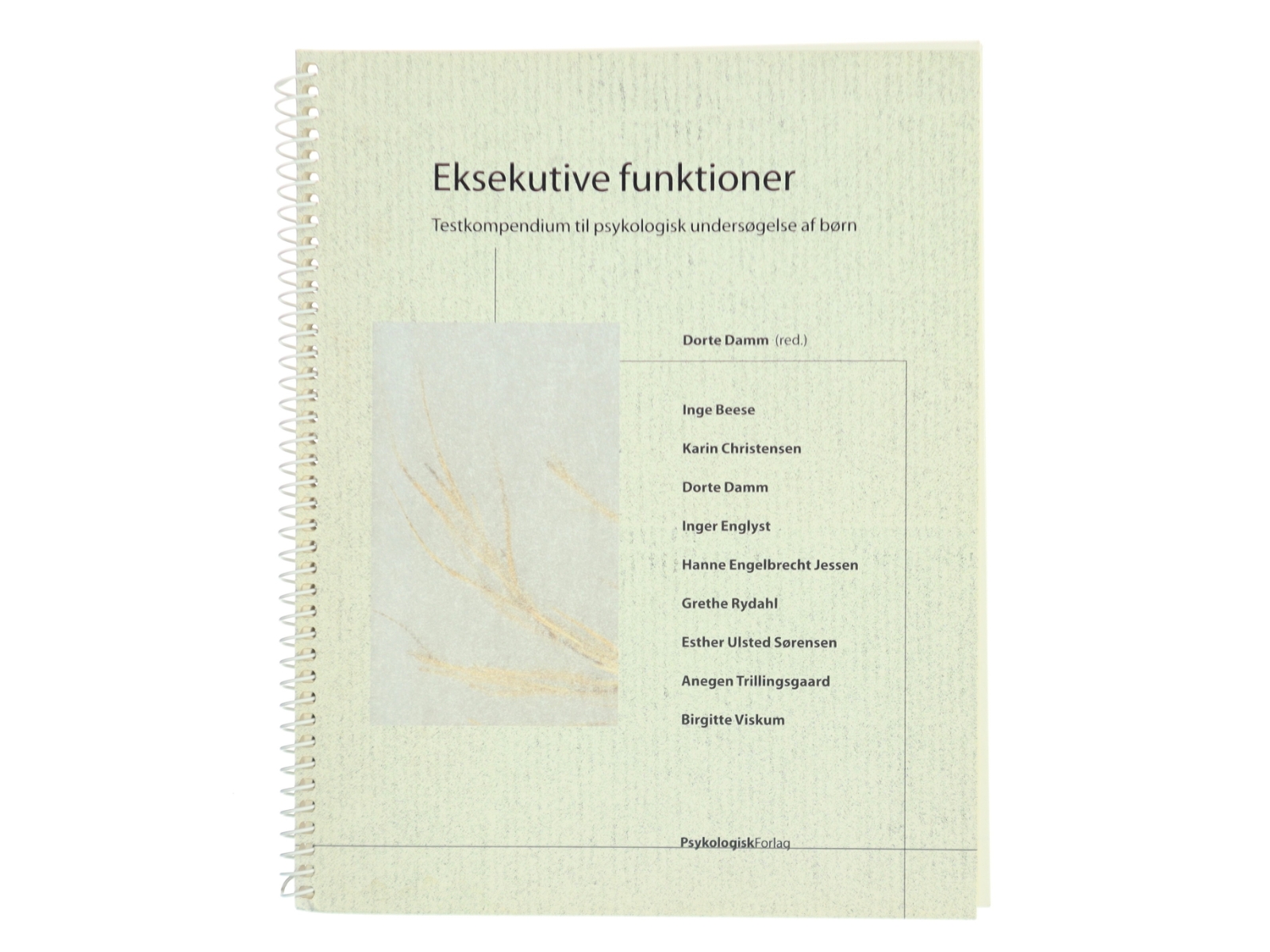 Eksekutive funktioner : tekstkompendium til psykologisk undersøgelse af børn (Bog)