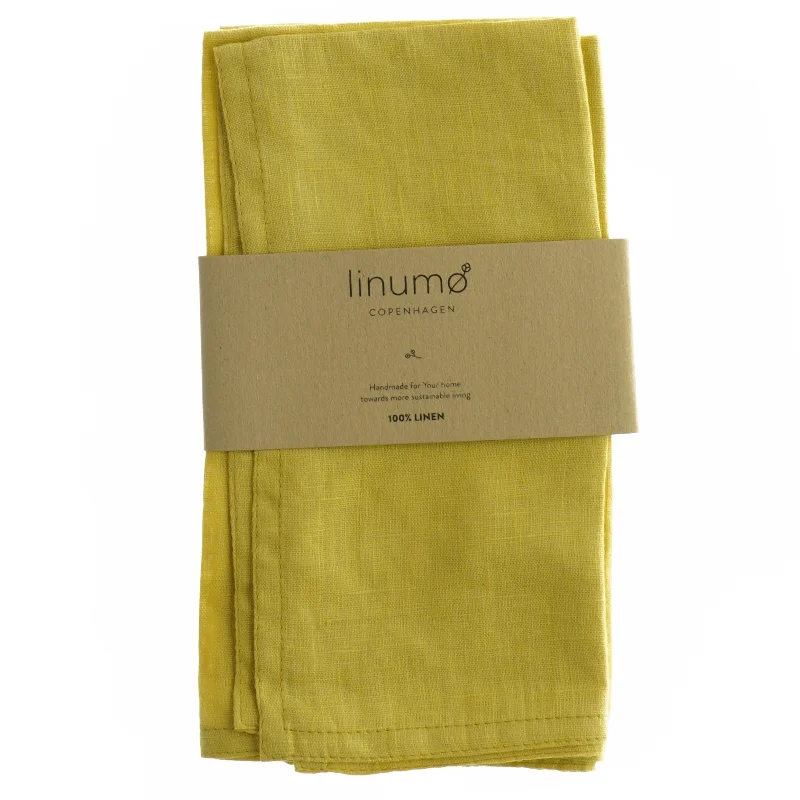 Dækkeservietter fra Linumø (2 stk)