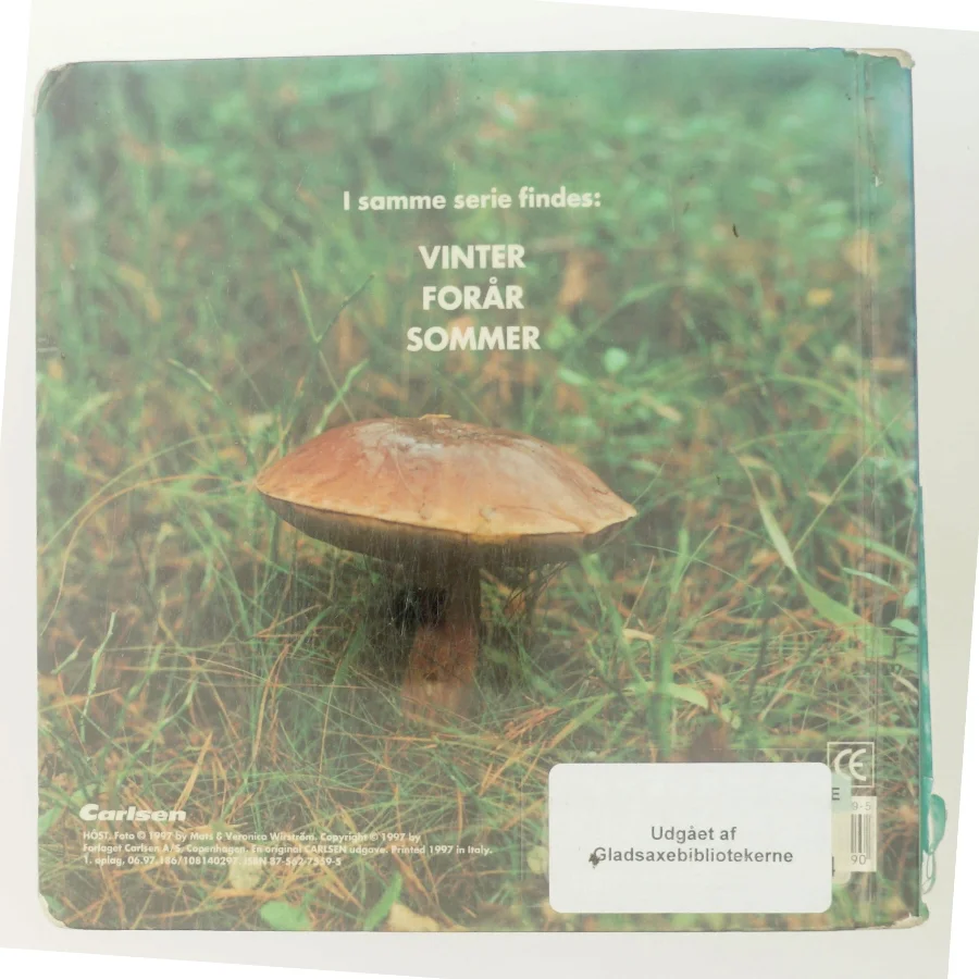 Efterår af Mats og Veronica Wirstrom (Bog)