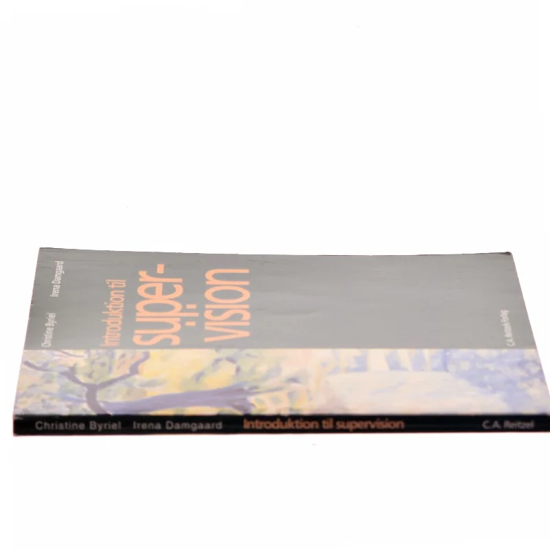 Introduktion til supervision af Christine Byriel (Bog)
