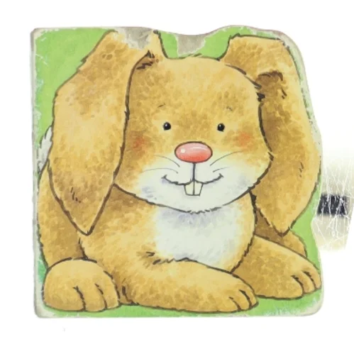 Bunny Book af Unknown (Bog)