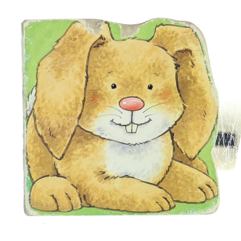 Bunny Book af Unknown (Bog)