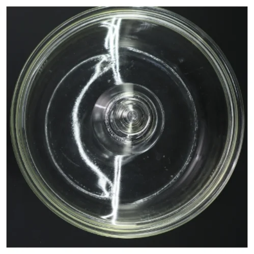 Glasgryde med låg fra Pyrex (str. Ø 24,5 cm)