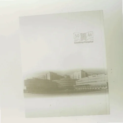 Glostrup Hospital af Susanne Paulsen (Bog)