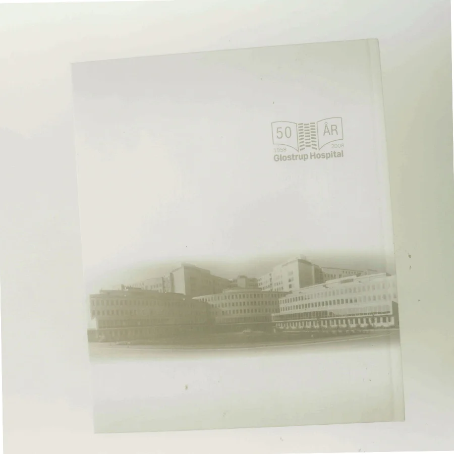 Glostrup Hospital af Susanne Paulsen (Bog)