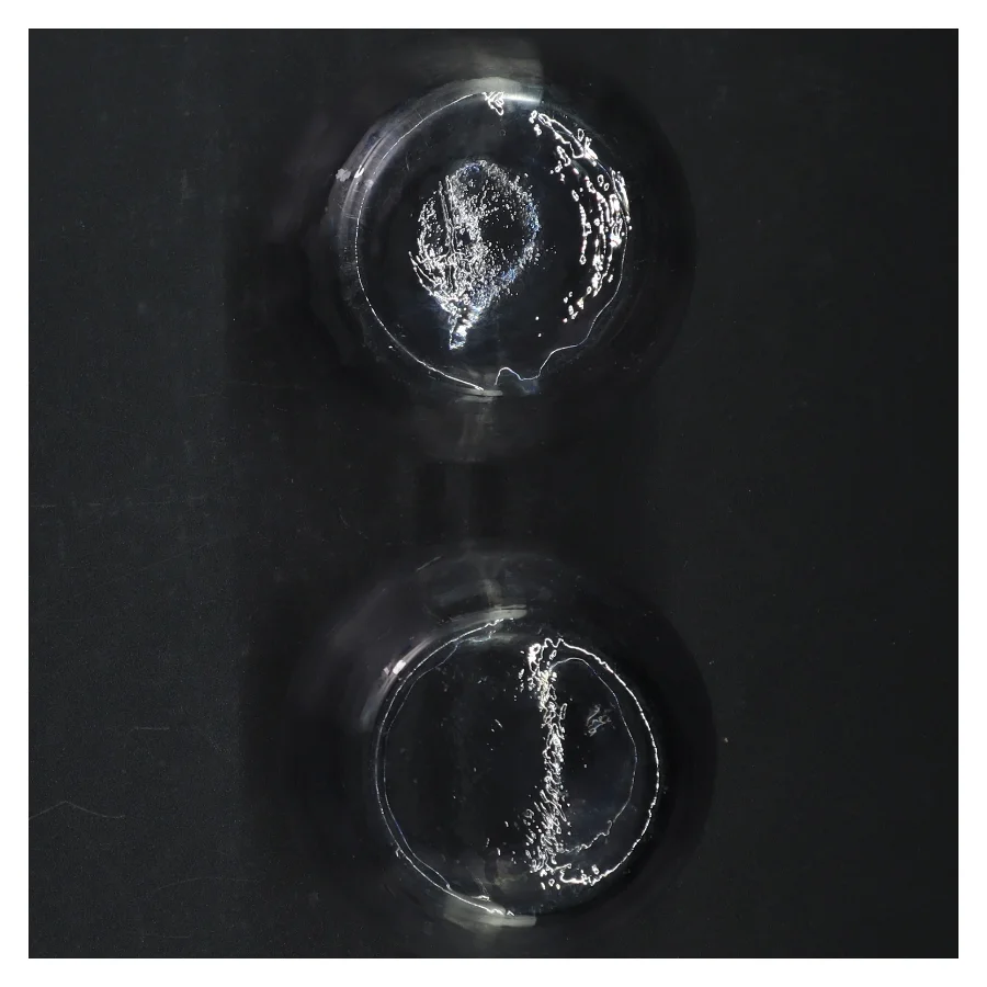 Hyasinth glas (str. 12 cm)