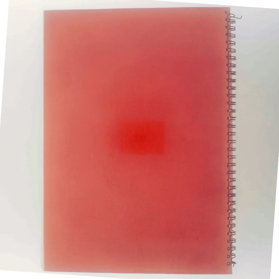 Baunehøj Efterskoles Bagebog (Bog)