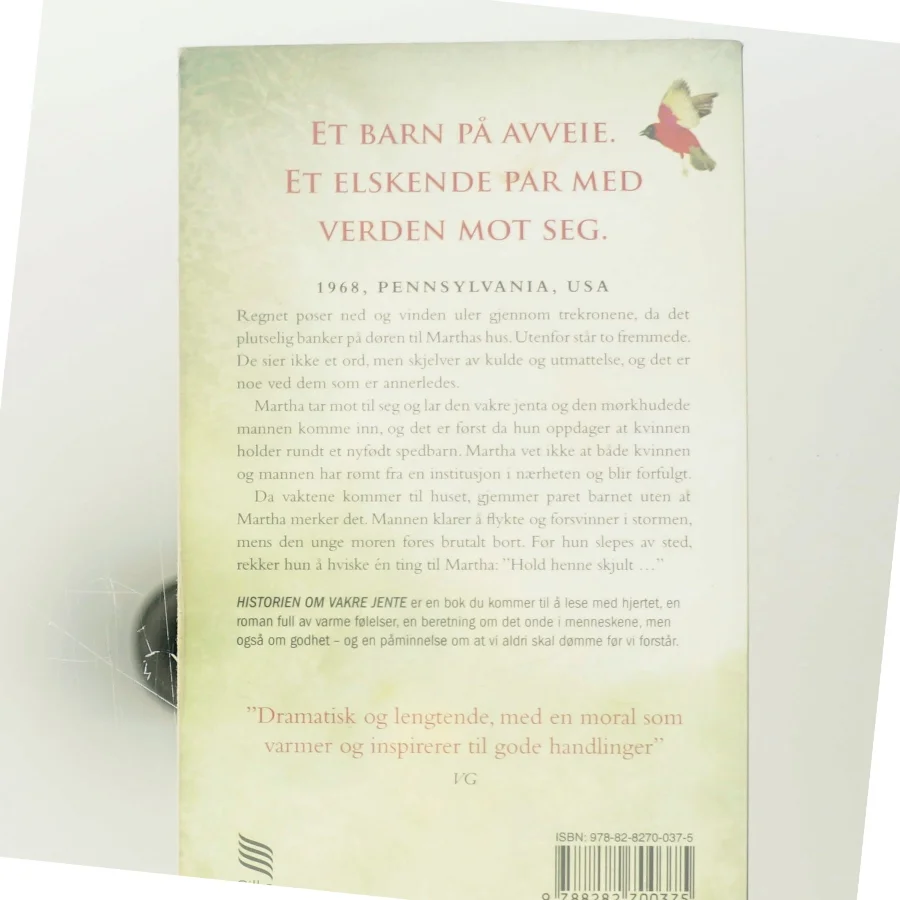 Historien om vakre jente af Rachel Simon (Bog)