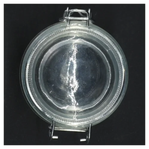 Patentglas med wirelukning (str. 10 x ø, 8 cm )