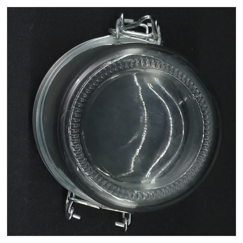 Patentglas med wirelukning (str. 10 x ø, 8 cm )