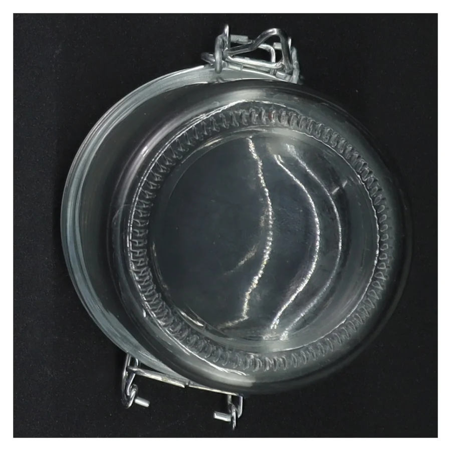 Patentglas med wirelukning (str. 10 x ø, 8 cm )