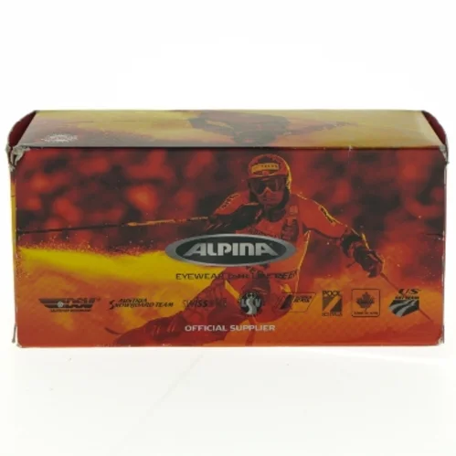 Alpina skisportsbriller til børn fra Alpina (str. S)