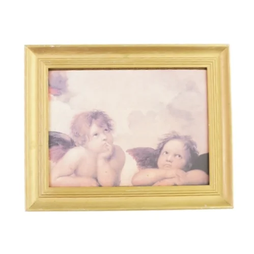 Billede i guldramme (50x40cm)