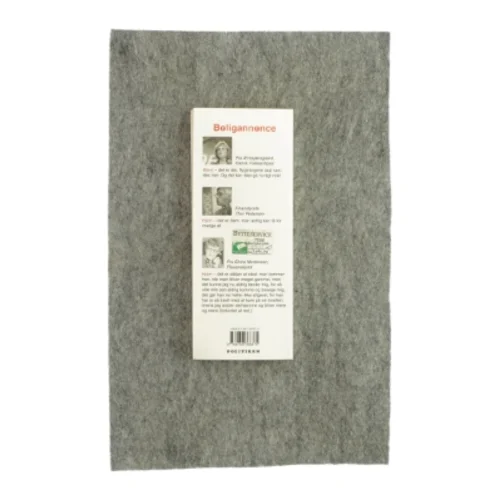 At tænke sig 2003 (bog)