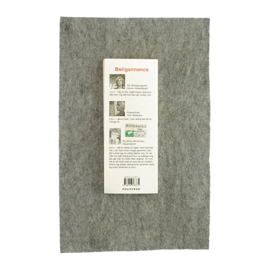 At tænke sig 2003 (bog)