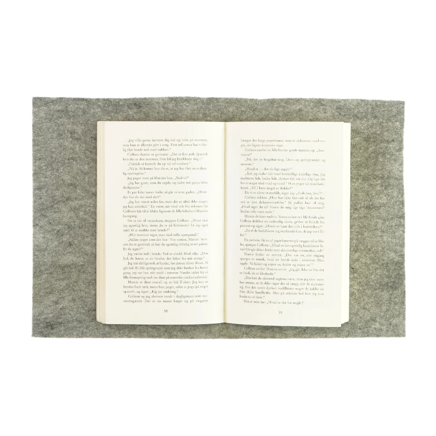 Stener og Spasser af Ron Koertge (bog)