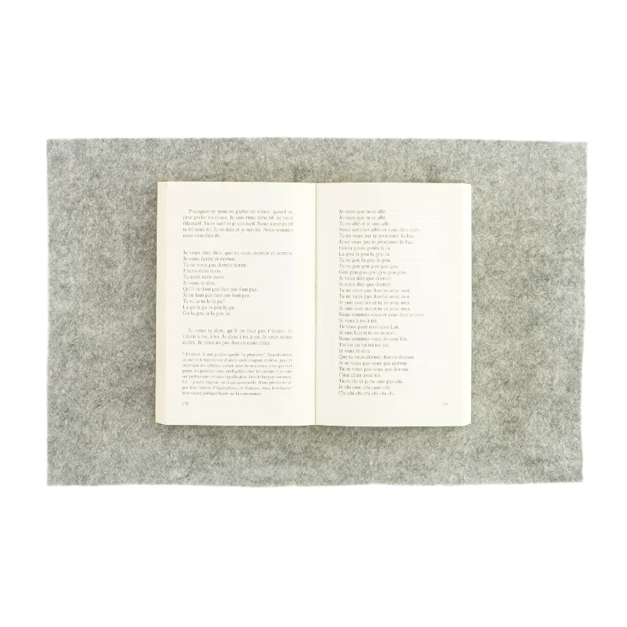 Cahiers af Vaslav Nijinski (bog)