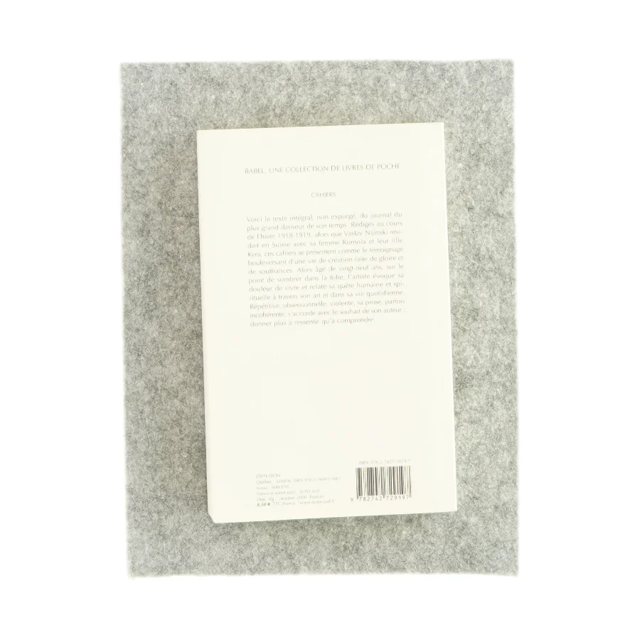Cahiers af Vaslav Nijinski (bog)
