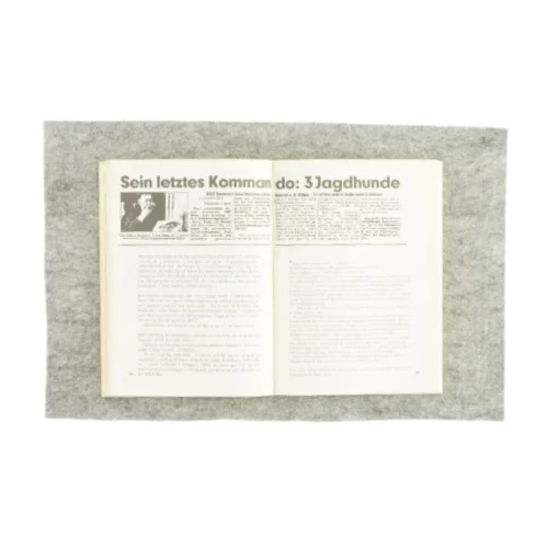 Afsløringen - manden der var Hans Esser på bild (bog)