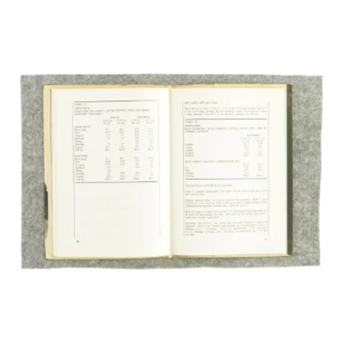 Storbyungdom, livsstil og sexvaner (bog) 