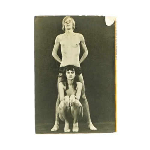 Storbyungdom, livsstil og sexvaner (bog) 