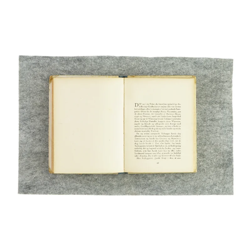 Søren Knap og andre drenge af Vilhelm Østergaard (bog)