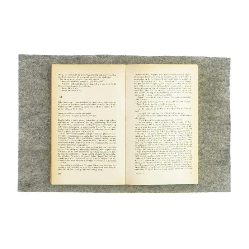 Natangreb af Len Deighton (Bog)