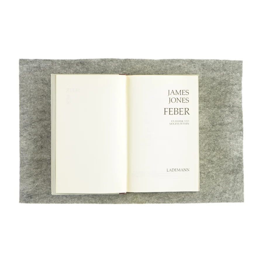 Feber af James Jones (bog)